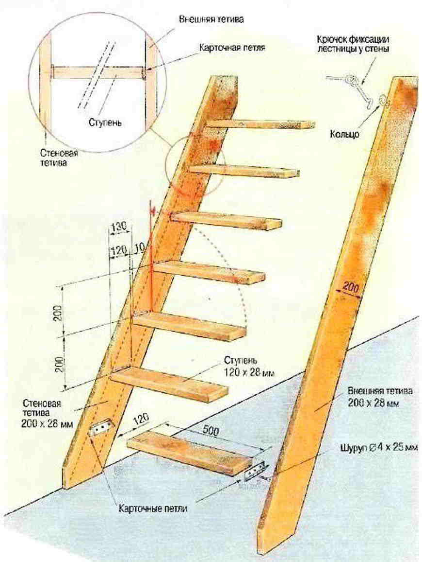 Какое расстояние между ступеньками. Чертеж приставной лестницы в подвал. Лестница на чердак своими руками чертежи и схемы сборки. Чертеж приставной деревянной лестницы. Схема деревянной лестницы на чердак.