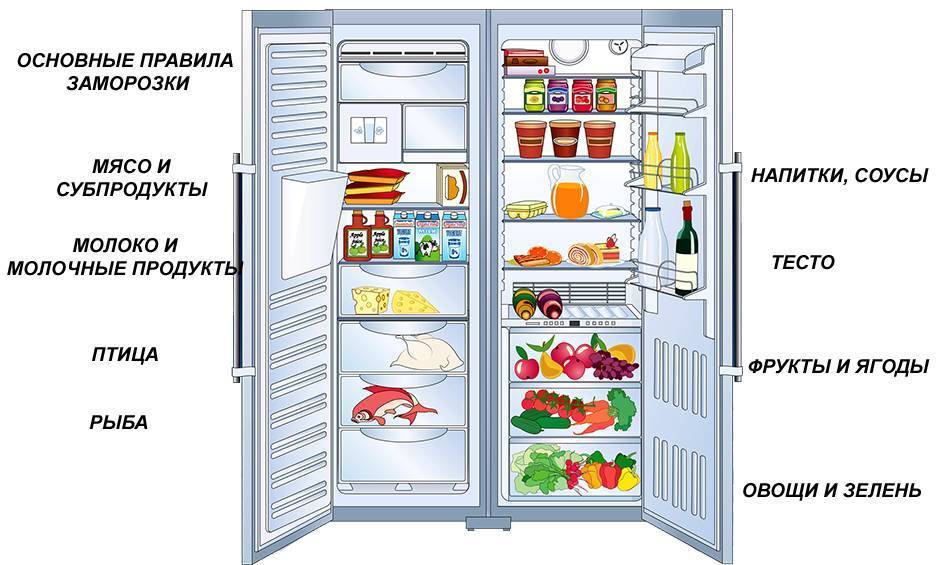 Как выбрать холодильник: топ-15 лучших моделей