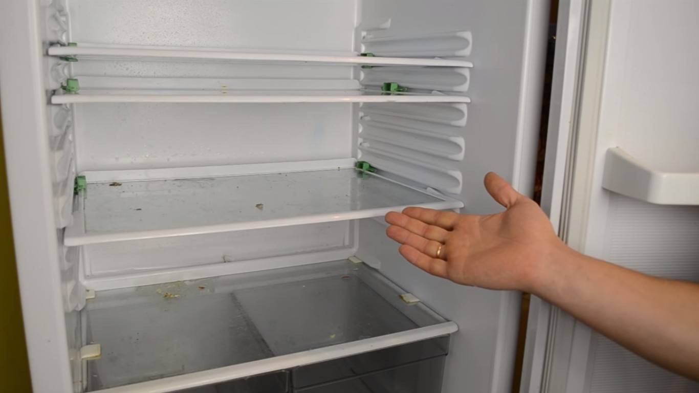 Как избавиться от плесени в холодильнике и ее запаха