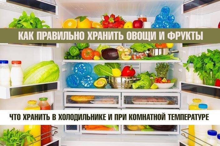 Какие фрукты можно хранить в холодильнике, а какие нет