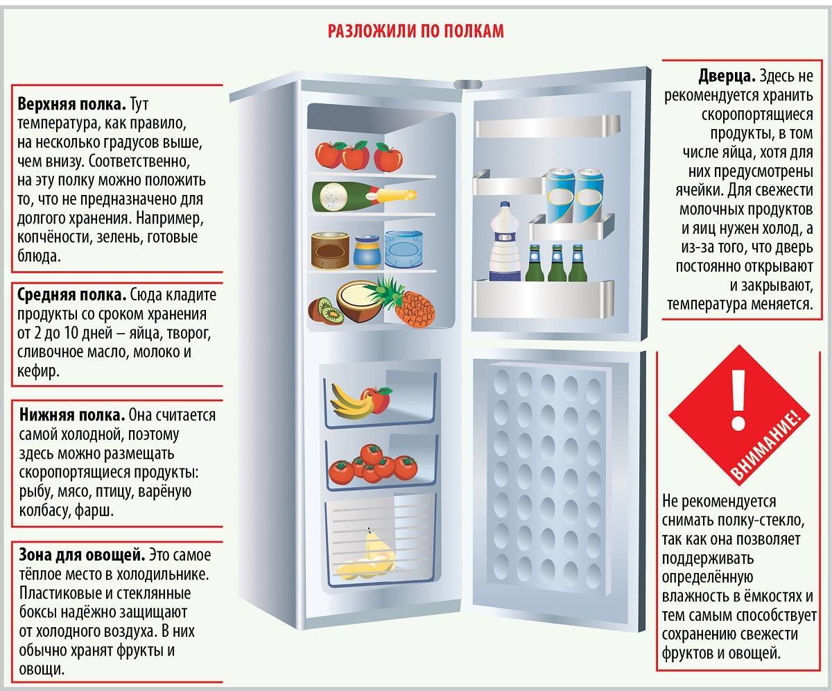 Хранение в холодильнике - что нельзя, что можно, лайфхаки