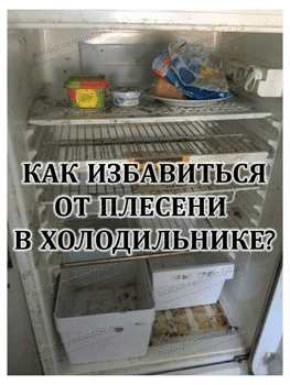 Как убрать запах плесени из холодильника: уборка и народные методы