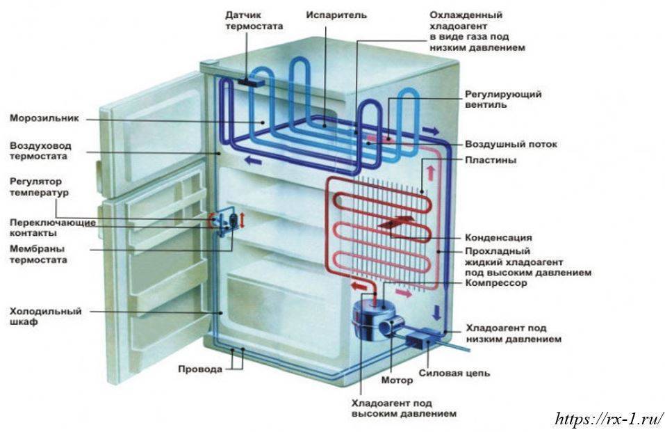 Принцип работы и устройство современных холодильников