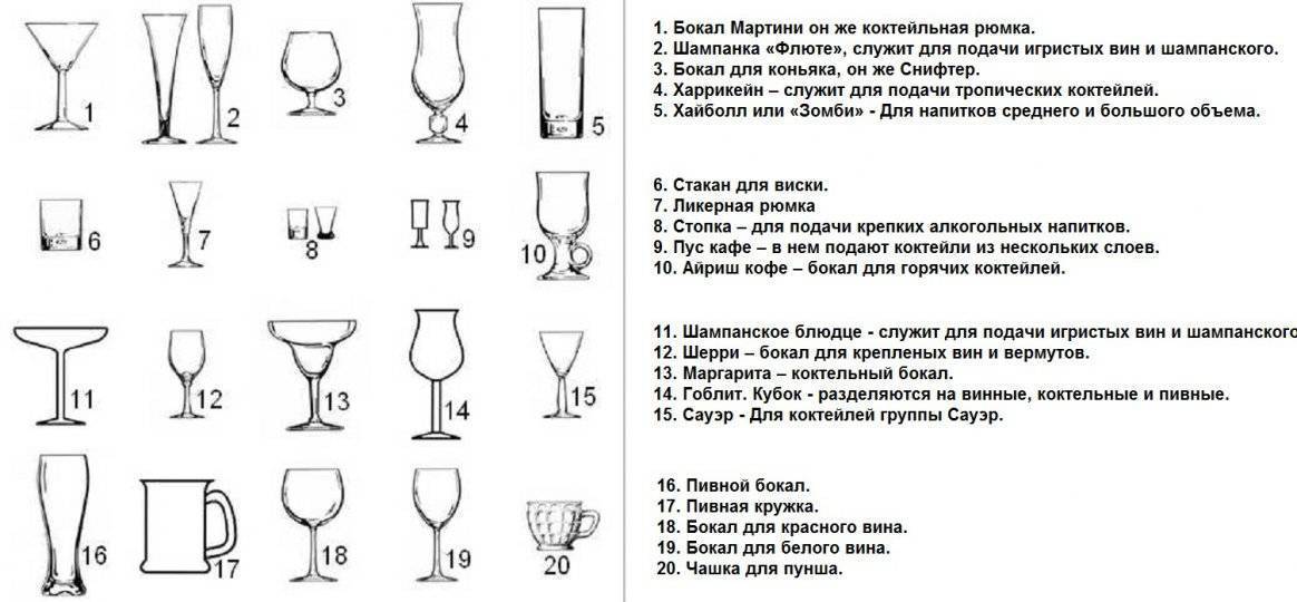 Виды стаканов и инвентаря в баре и их названия, как ухаживать за посудой