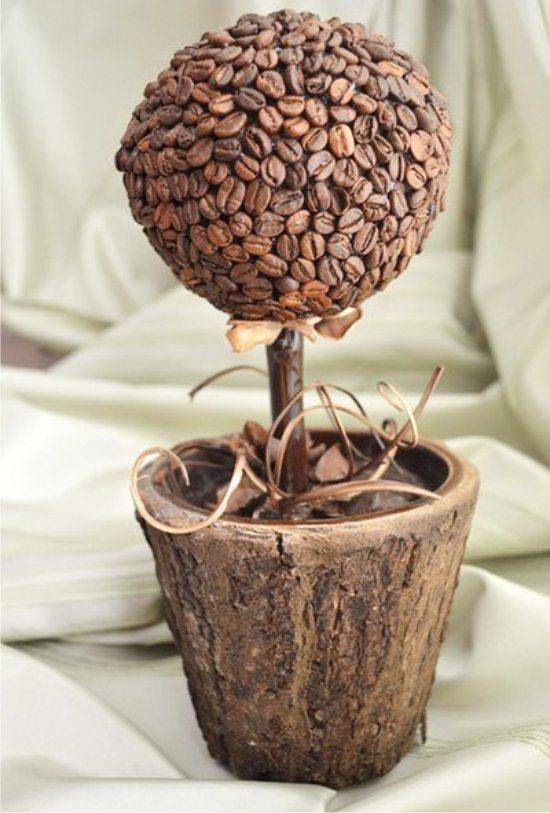 Топиарий из кофе. кофейное дерево