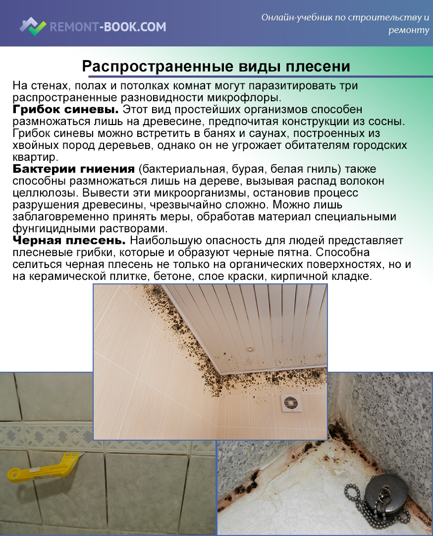Как избавиться от плесени в холодильнике, отмыть грибок с резинки и убрать запах