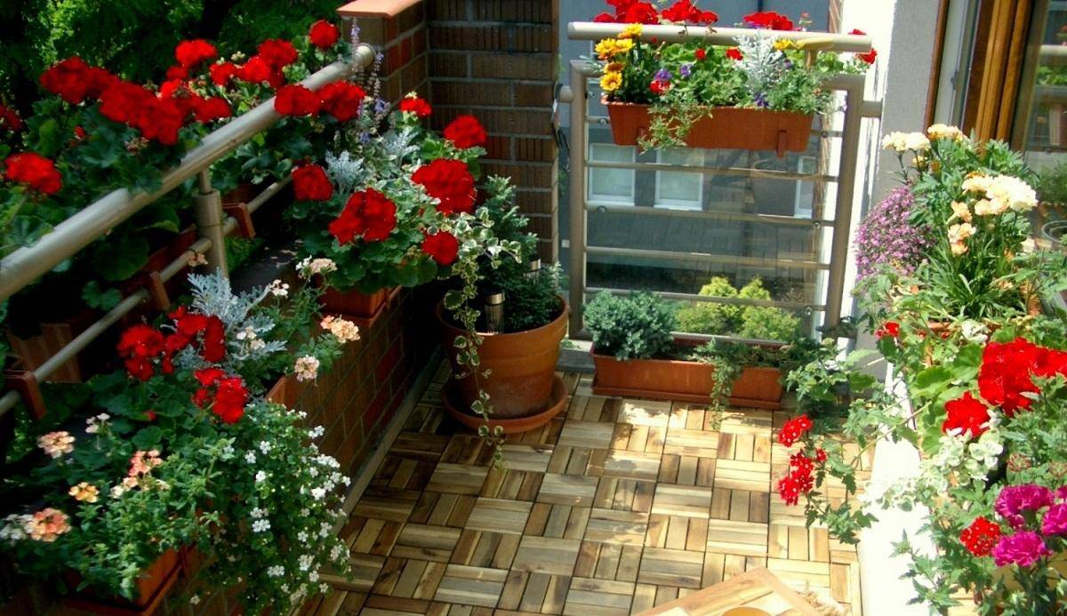 Дизайн с цветами на балконе (45 фото): оформление цветочного балкона своими руками на солнечной стороне