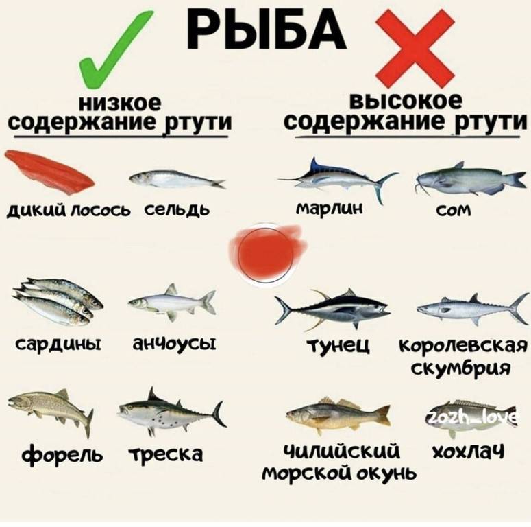 Осторожно — ртуть! 10 видов рыбы, которую лучше не есть.