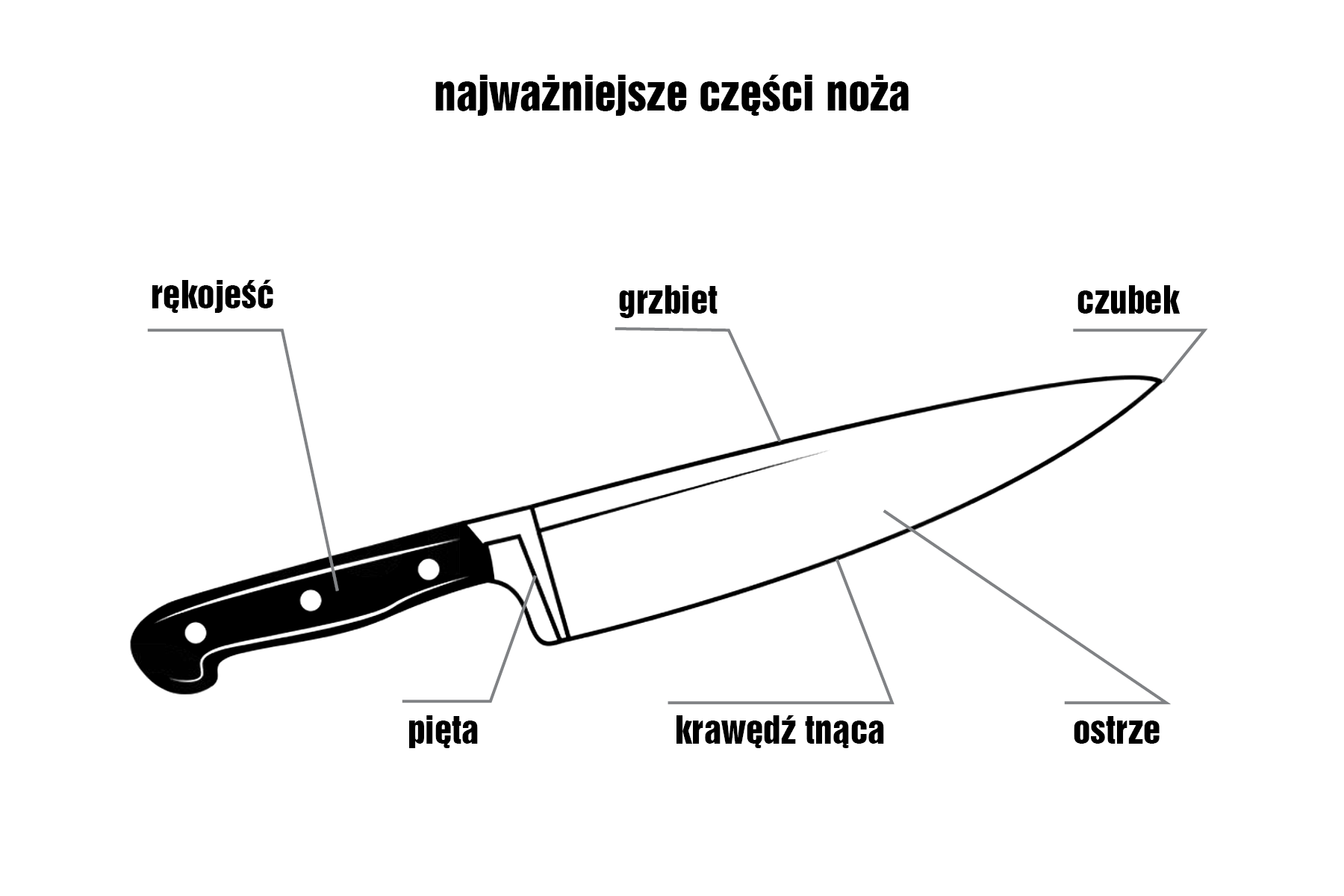 Виды кухонных ножей и их назначение - как выбрать модель для профессиональной нарезки