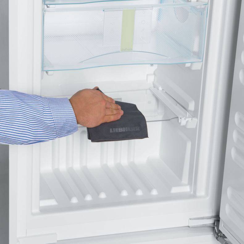 Как избавиться от плесени в холодильнике, отмыть грибок с резинки и убрать запах