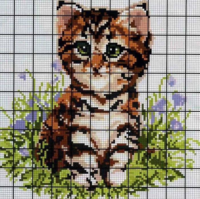 Вышивка крестом: коты и кошки, простые схемы для начинающих рукодельниц