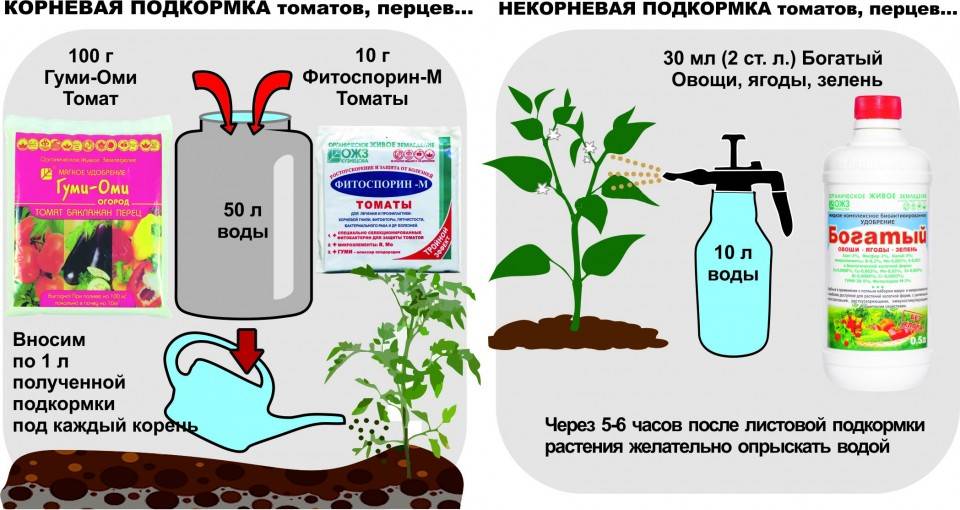 Какие удобрения и когда использовать для подкормки томатов в теплице