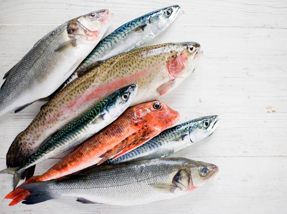 10 сортов полезной экологичной рыбы