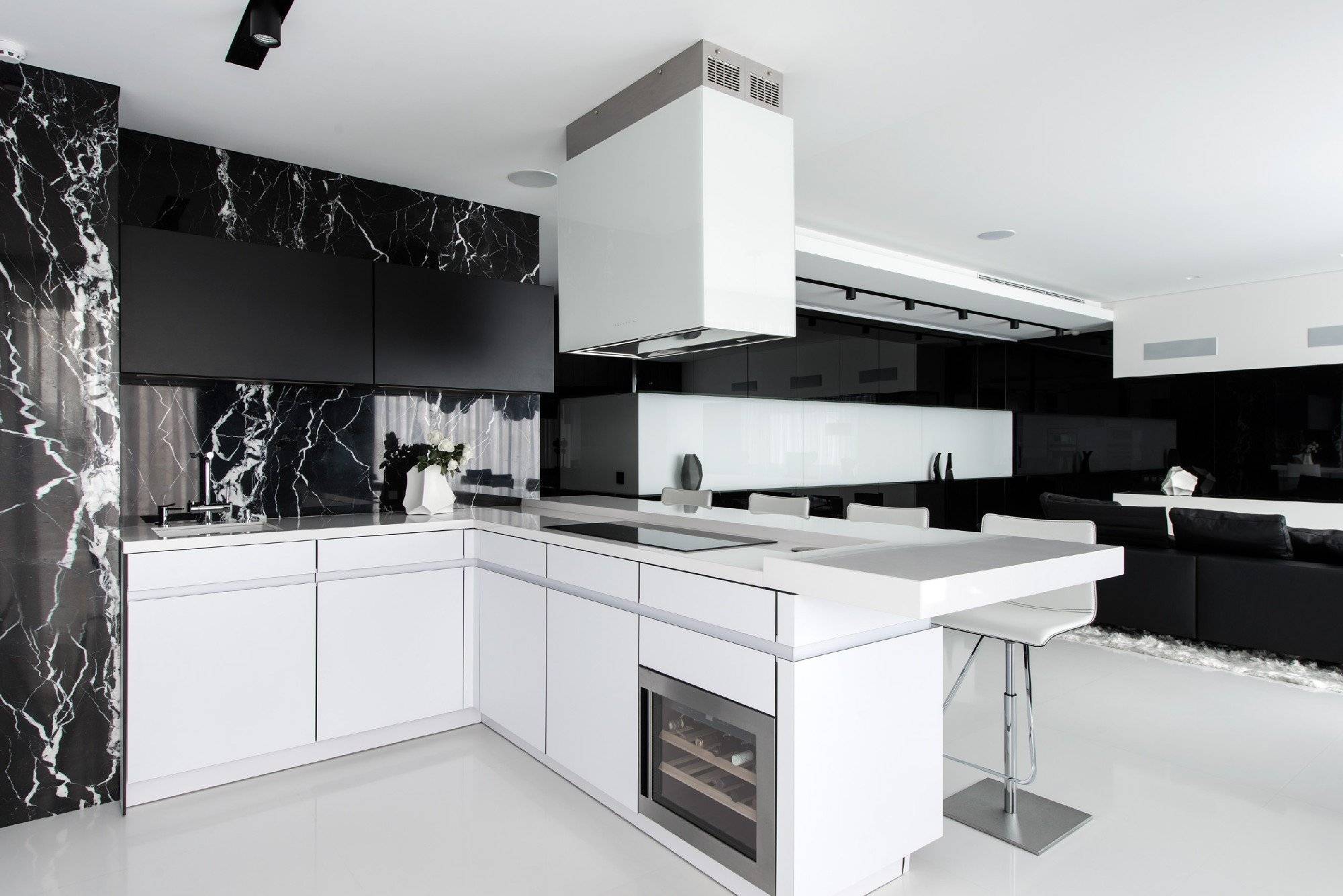 Черно-белая кухня: лучшие сочетания и идеи применения черного и белого в интерьере