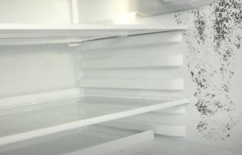 Как избавиться от плесени в холодильнике: народные средства