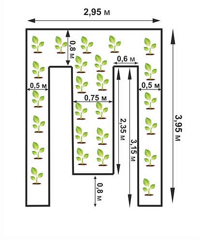 Схема грядок в теплице 3х6