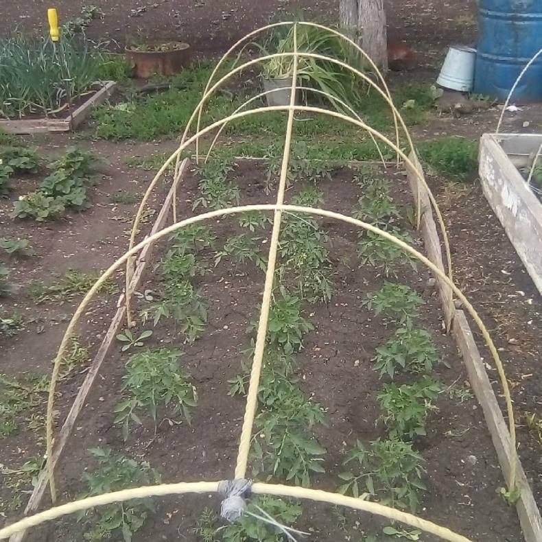 Строительство парника своими руками из стеклопластиковой арматуры