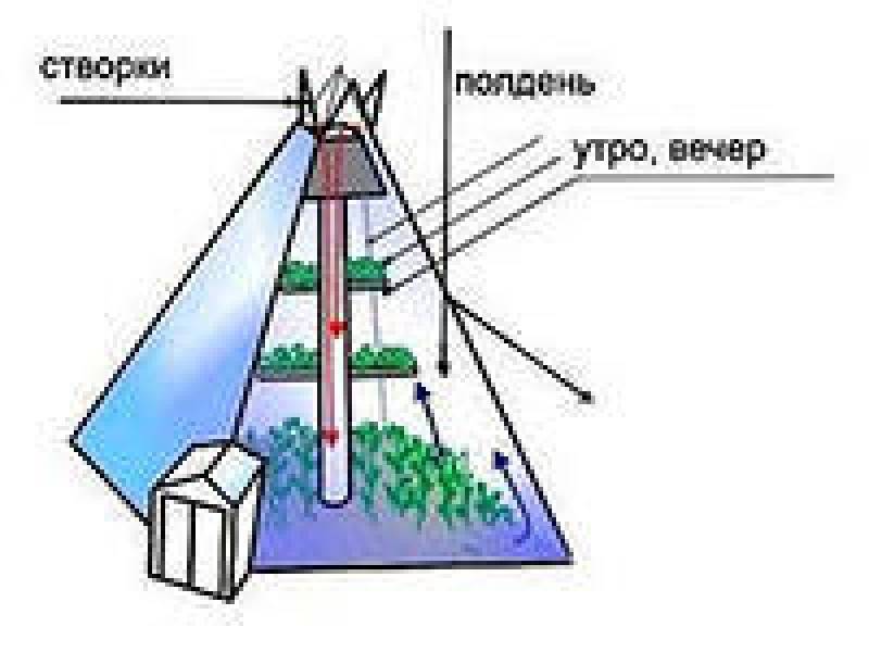 Теплица пирамида. плюсы и минусы пирамидальной теплицы