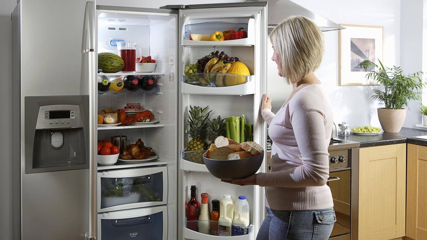 Как выбрать холодильник для дома. рейтинг холодильников и отзывы покупателей