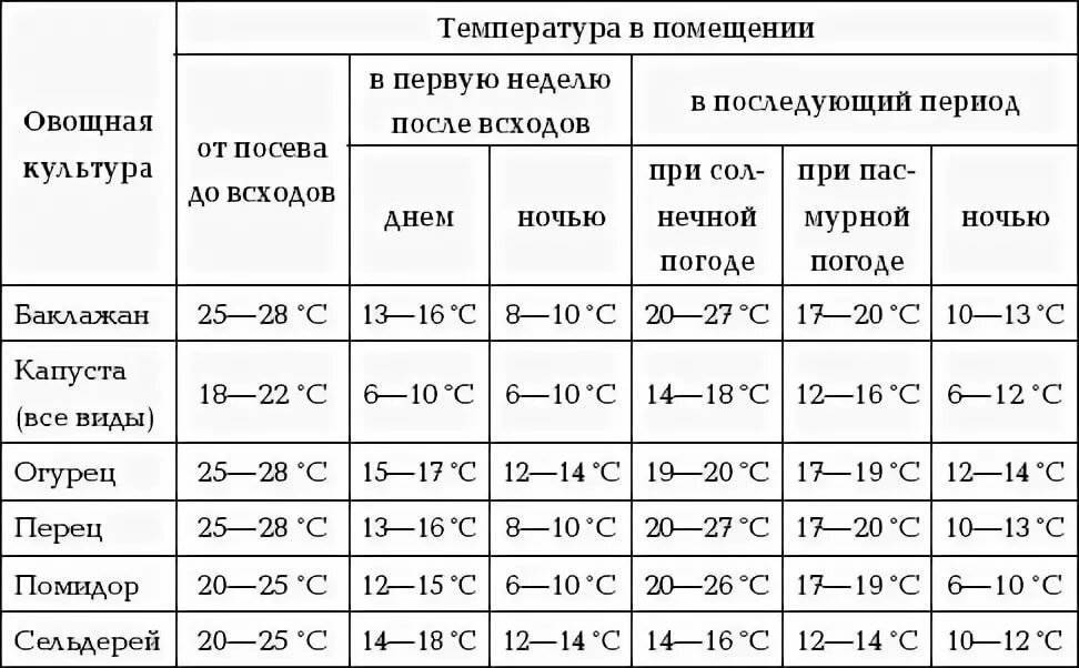 Когда можно пересаживать томаты в теплицу: сроки, при какой температуре почвы