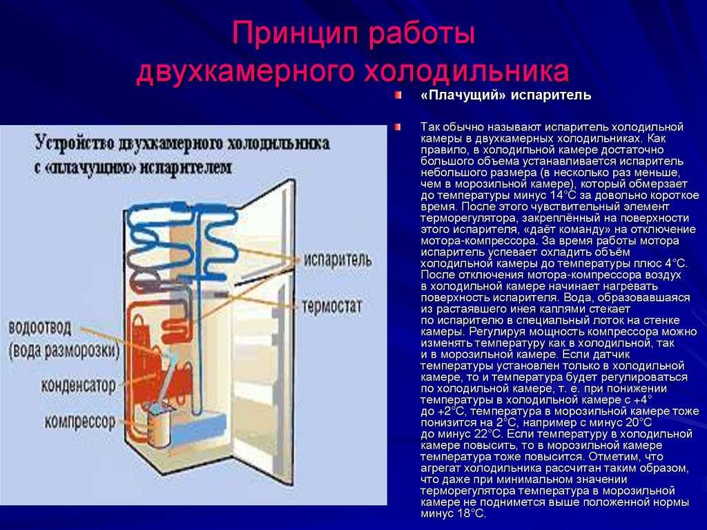 Работа холодильника: принцип работы и особенности, виды и их основные отличия, функции холодильника