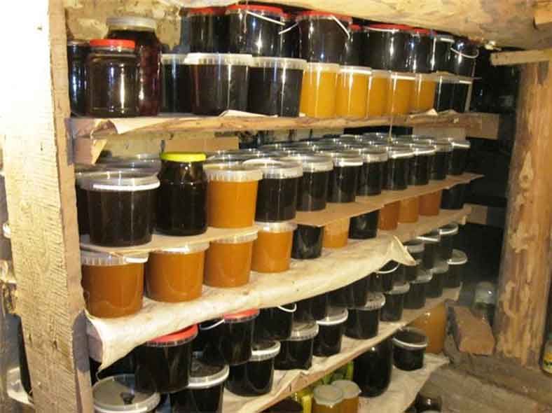 Как правильно хранить мед в домашних условиях в квартире