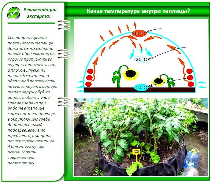 Температура и влажность в теплице: почва оптимальная, как поддержать и создать, повысить воздух, датчик