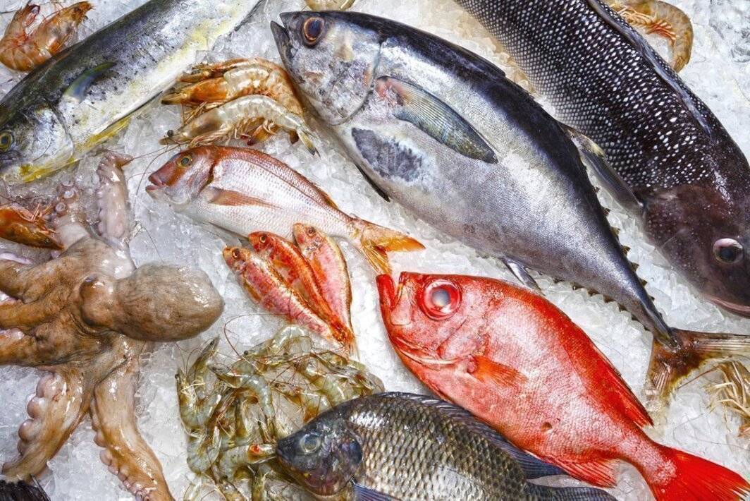 Рыбы, опасные для приготовления , которых ни за что нельзя есть