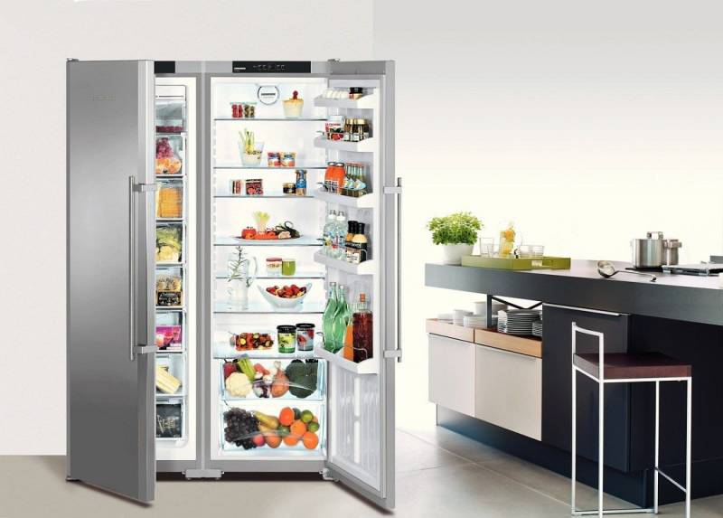 Двухстворчатый холодильник: с двойной дверью, размеры, встраиваемый, принцип работы двухкамерного, с одним компрессором, отзывы, ширина, габариты