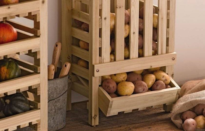 Как хранить картошку в квартире и погребе, и можно ли: 5 простых способов