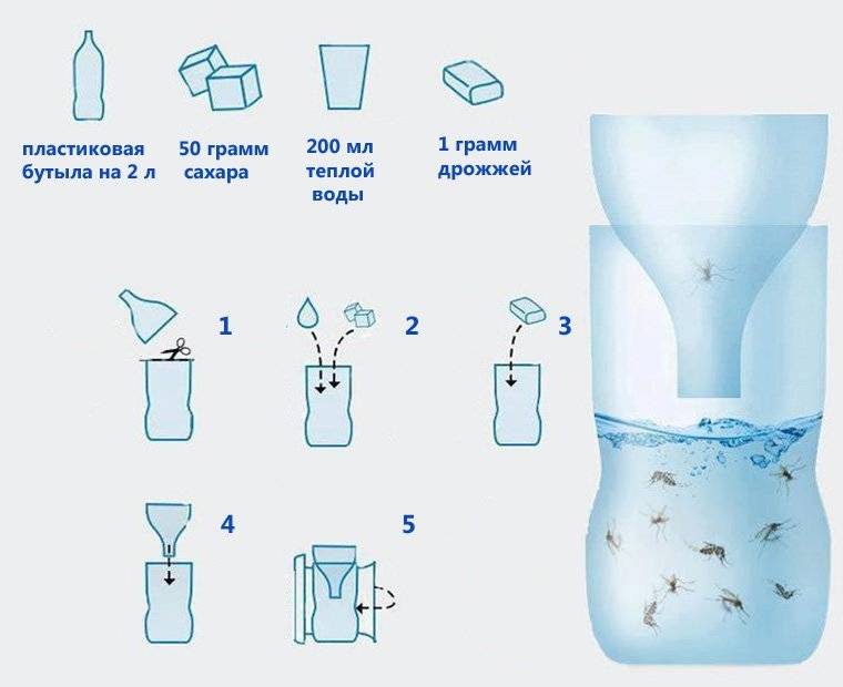 Как избавиться от мошек на кухне: откуда берутся мелкие насекомые и чем травить