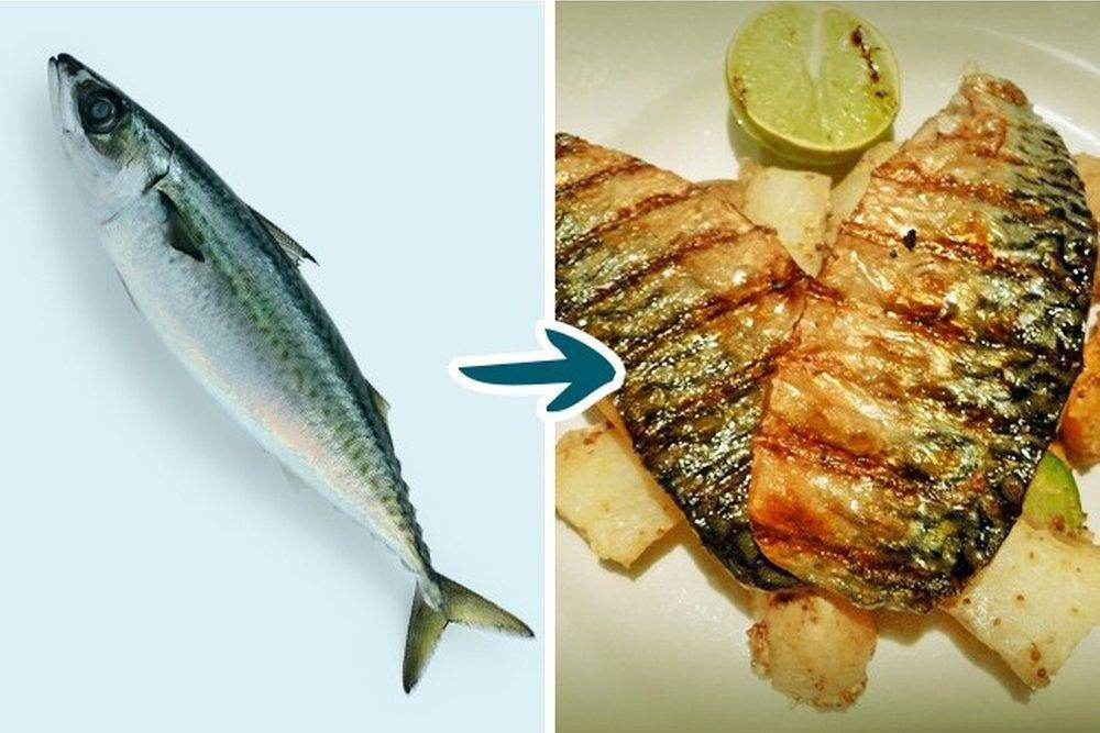 Какую рыбу нельзя есть: 9 видов, от которых лучше отказаться
