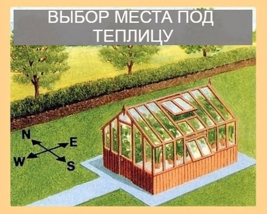 Как расположить теплицу на участке относительно сторон света