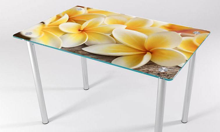 Стеклянные столы для кухни с рисунком: фотопечать, триплекс