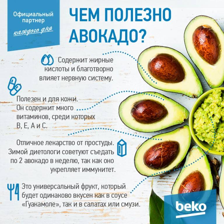 Авокадо: польза и вред для организма, витамины и полезные свойства - телеканал доктор
