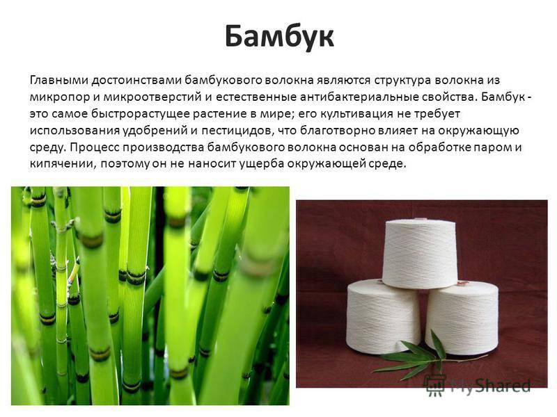 Бамбуковая посуда: плюсы и минусы бамбукового волокна для тарелок, кружек и мисок