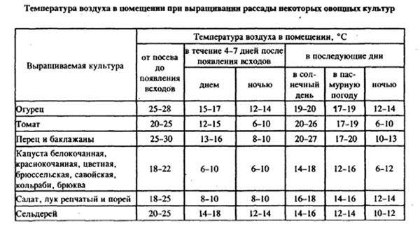 Температурный режим в теплице для помидоров: особенности и правила