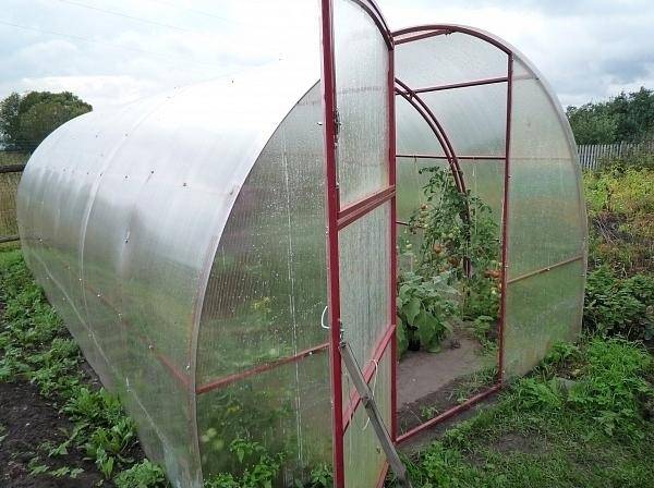 Кремлевская теплица из поликарбоната от производителя: виды, отзывы
