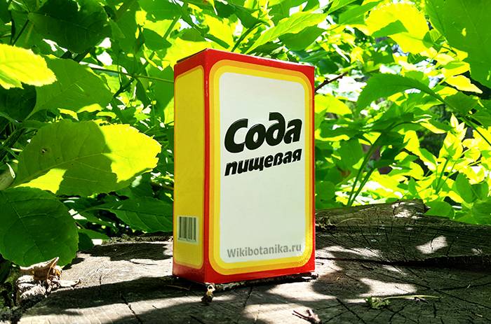 Сода в огороде: 14 вариантов применения. польза и вред | wikibotanika.ru