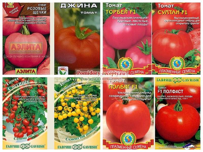 Лучшие урожайные сорта томатов для подмосковья для теплиц и открытого грунта