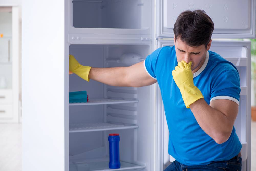 ❉как убрать запах из холодильника быстро, не отключая его