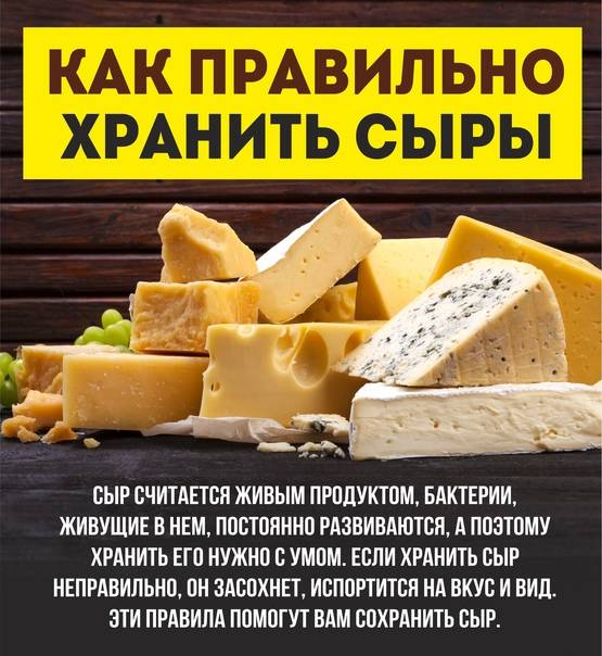Почему сыр хранят в холодильнике. Хранение сыра. Как правильно хранить сыр. Хранение сыра в холодильнике. О правильном хранении сыров.