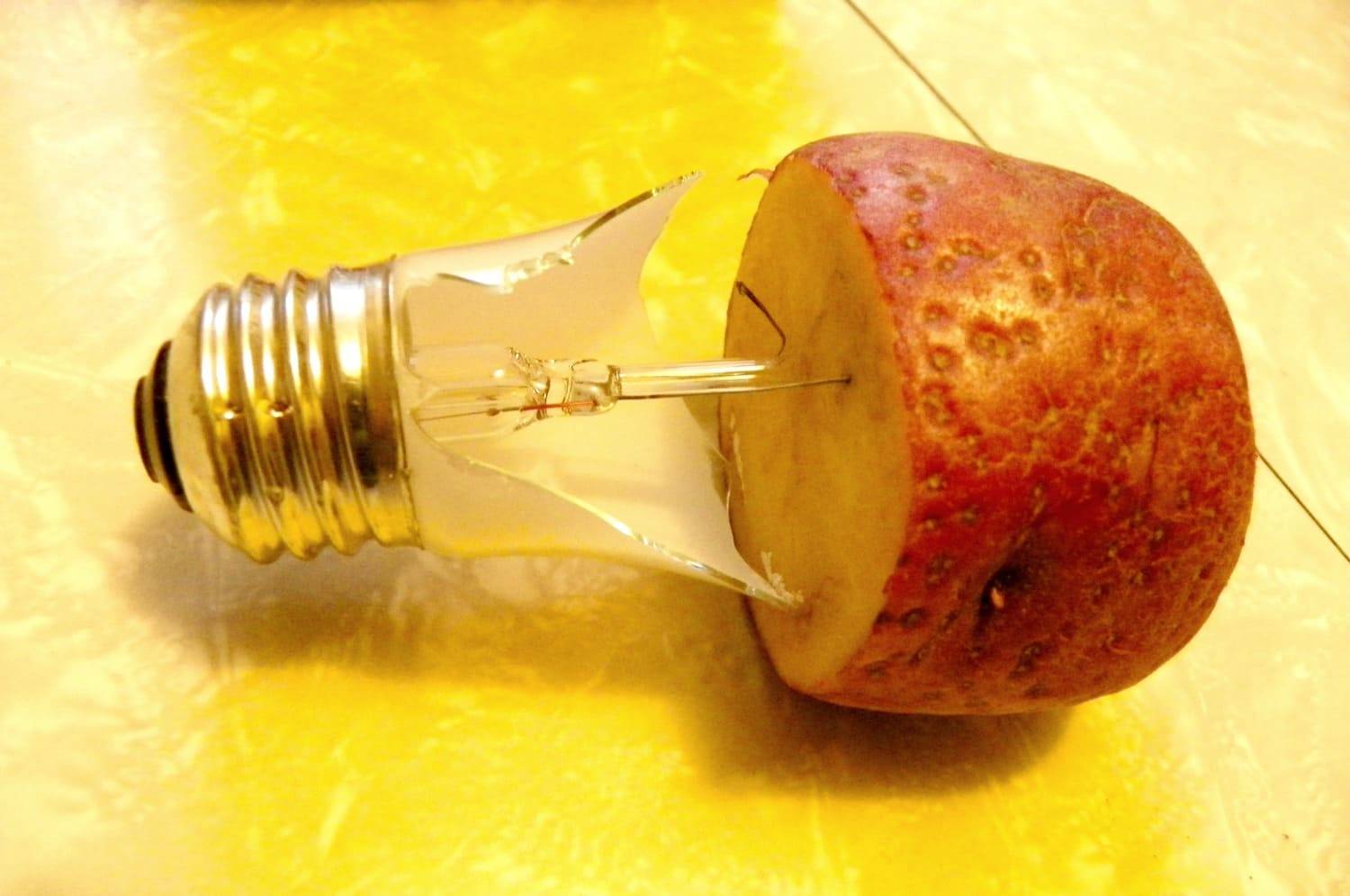 Необычные способы применения картошки в быту | ms.чистота | дзен