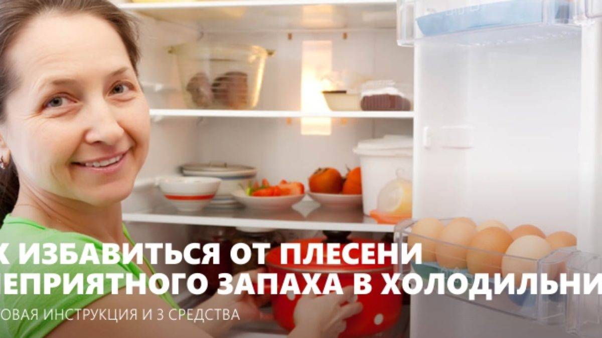Плесень в холодильнике: как избавиться?
