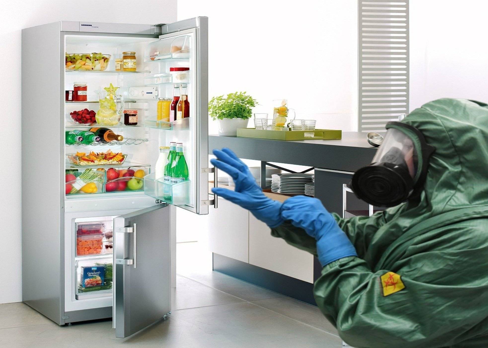 Как избавиться от плесени в холодильнике?