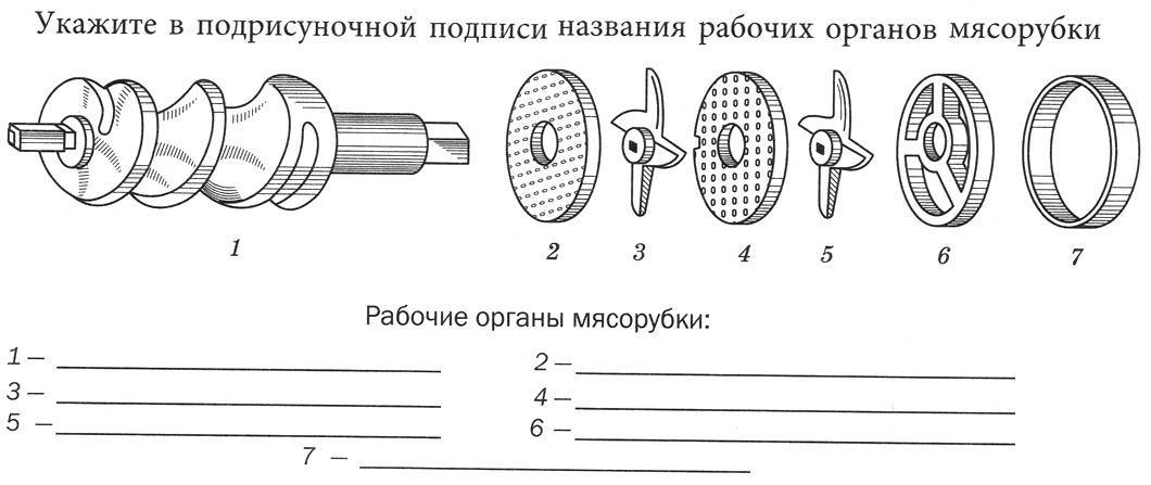 Как правильно в мясорубку вставить нож? порядок сборки мясорубки - samvsestroy.ru