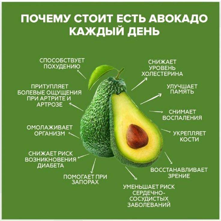 12 секретов как правильно едят авокадо в 2022 году в сыром виде и не только