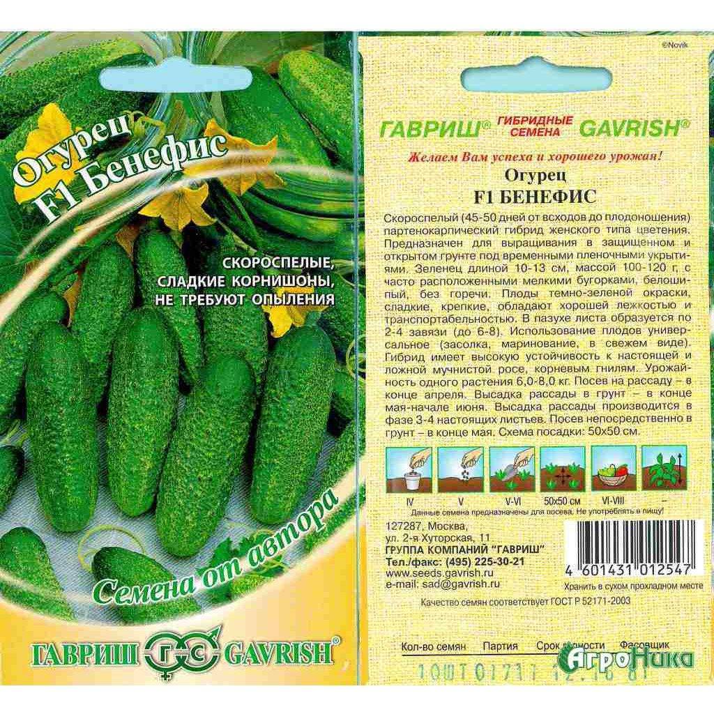 Лучшие сорта огурцов для открытого грунта — самоопыляемые огурцы для засолки