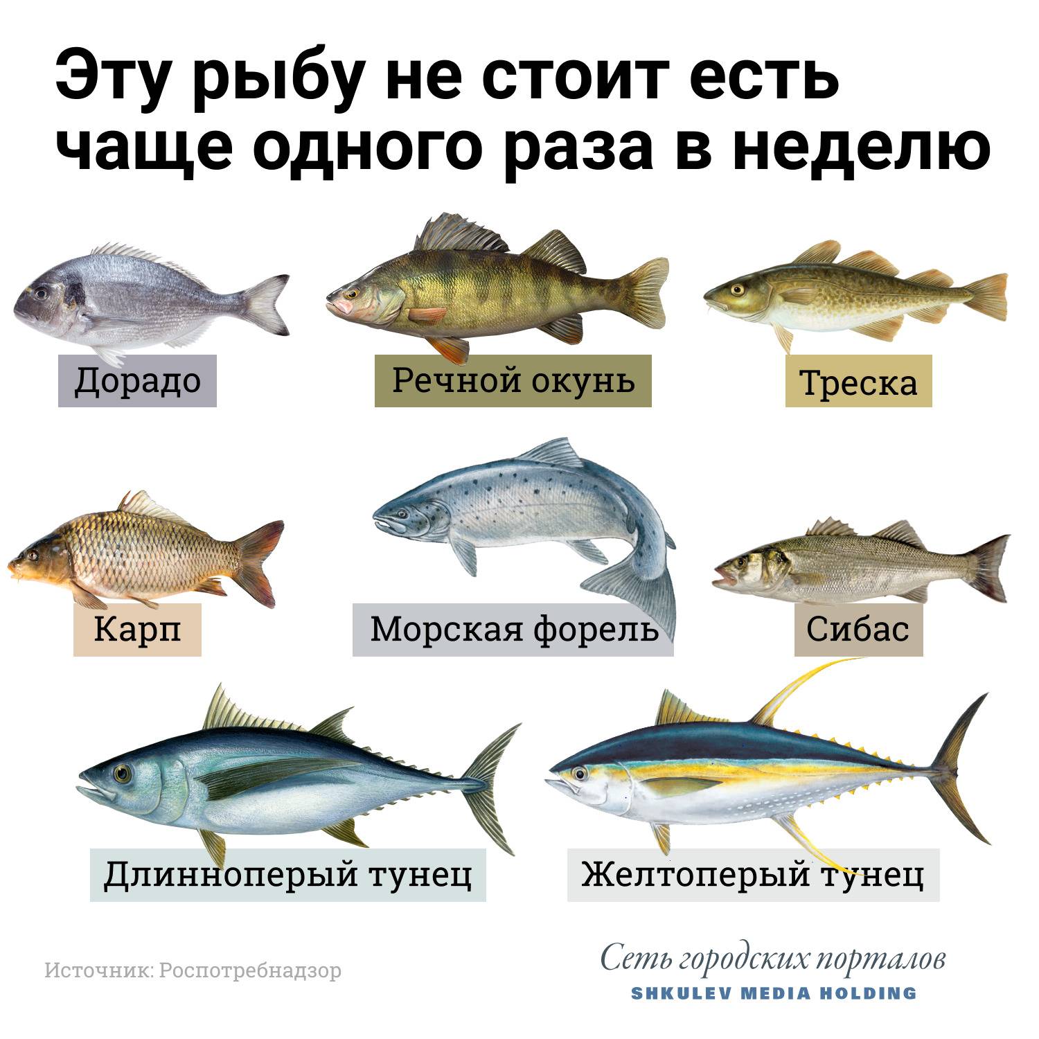 Паразиты в рыбе: опасные для человека, как они выглядят, описание
