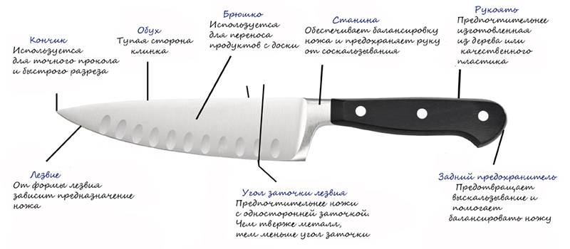 Как выбрать нож для кухни: полная инструкция